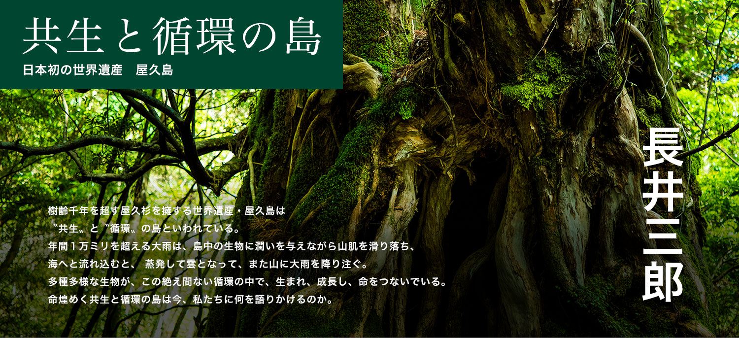 共生と循環の島　日本初の世界遺産　屋久島